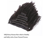 Brazilian Afro-Kinky Curly Clip-in Extensions | (4B-4C) |